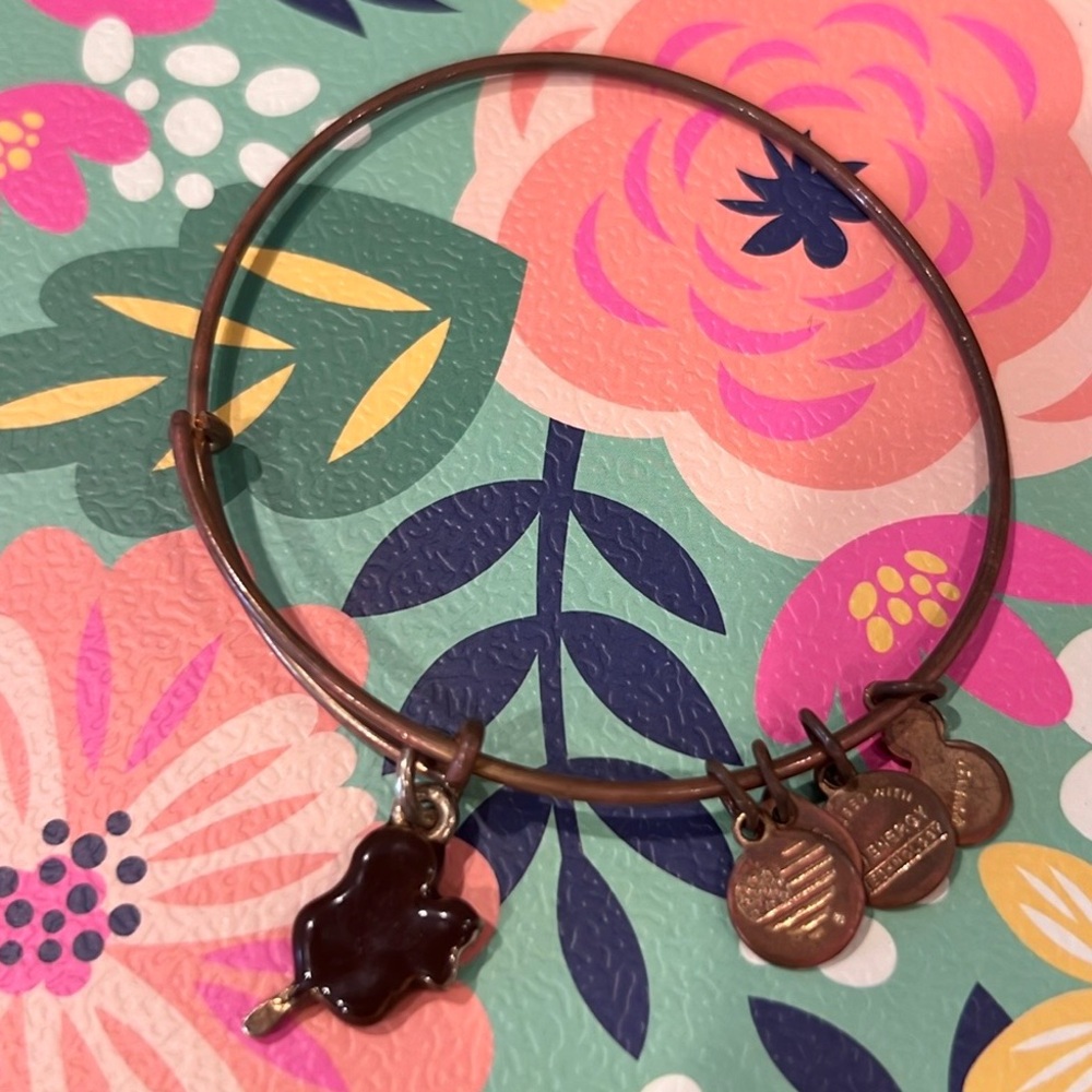 Disney parks Mickey bar Alex and Ani